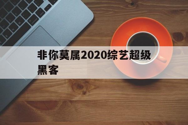 非你莫属2020综艺超级黑客（综艺非你莫属 2021 爱奇艺）