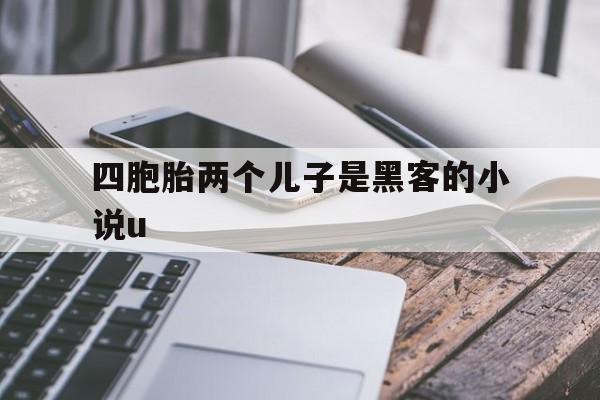 四胞胎两个儿子是黑客的小说u（三胞胎老大是黑客小说）