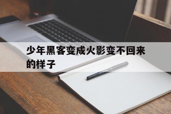 少年黑客变成火影变不回来的样子的简单介绍