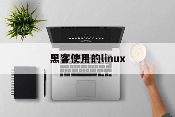 黑客使用的linux（黑客使用的系统）