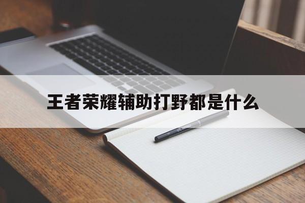 王者荣耀辅助打野都是什么（王者辅助跟打野）