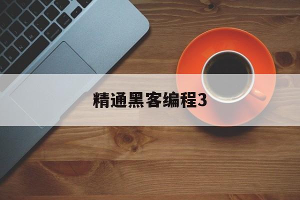 精通黑客编程3（精通黑客编程mobi）