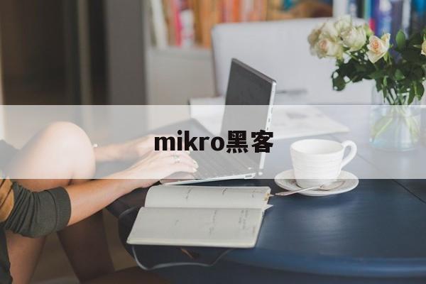 mikro黑客（MIKRO）