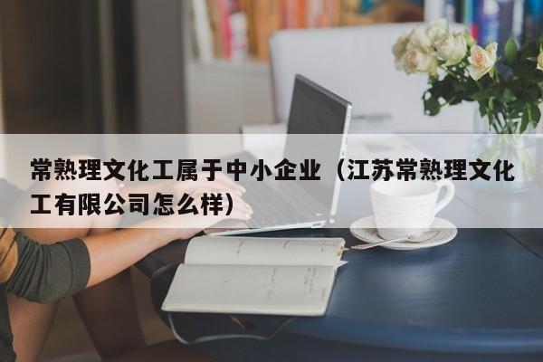 常熟理文化工属于中小企业（江苏常熟理文化工有限公司怎么样）