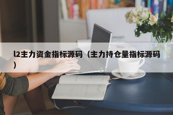 l2主力资金指标源码（主力持仓量指标源码）