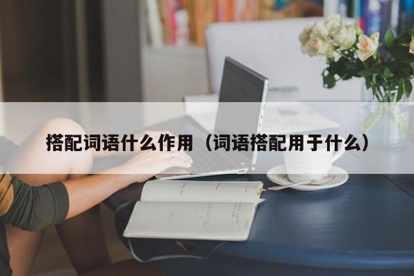 搭配词语什么作用（词语搭配用于什么）