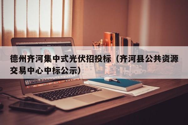 德州齐河集中式光伏招投标（齐河县公共资源交易中心中标公示）