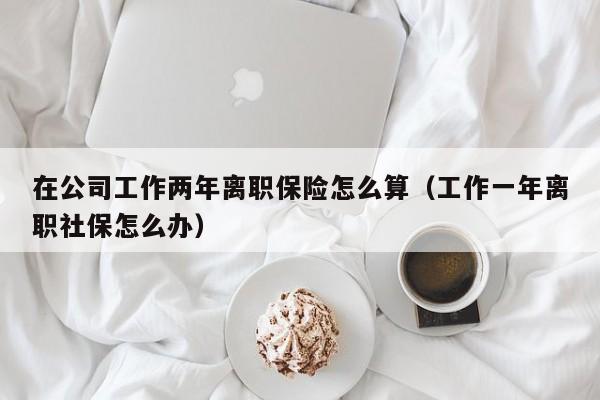 在公司工作两年离职保险怎么算（工作一年离职社保怎么办）