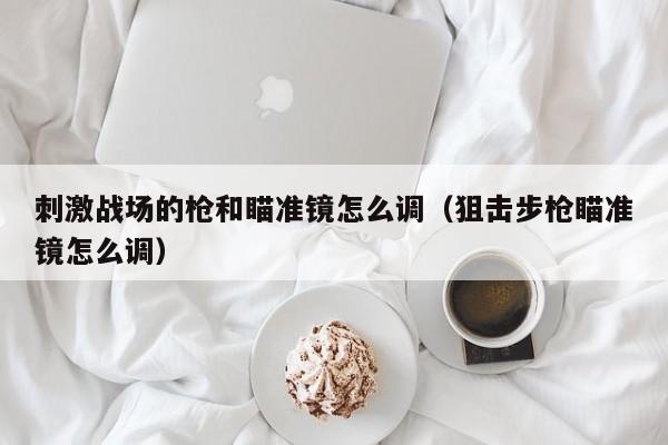 刺激战场的枪和瞄准镜怎么调（狙击步枪瞄准镜怎么调）