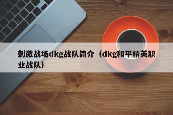 刺激战场dkg战队简介（dkg和平精英职业战队）