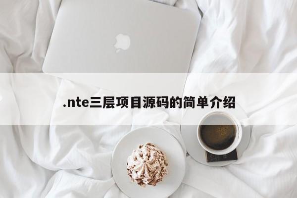 .nte三层项目源码的简单介绍