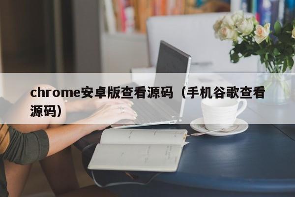 chrome安卓版查看源码（手机谷歌查看源码）