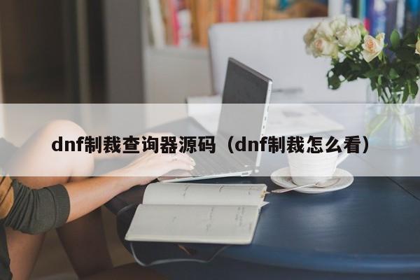 dnf制裁查询器源码（dnf制裁怎么看）