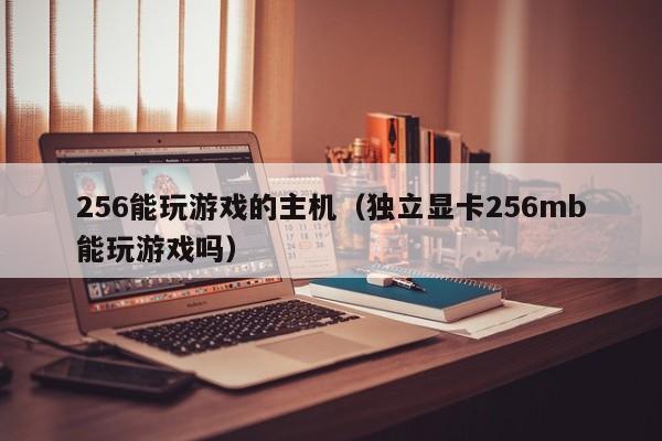 256能玩游戏的主机（独立显卡256mb能玩游戏吗）