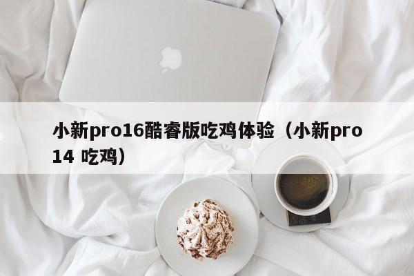 小新pro16酷睿版吃鸡体验（小新pro14 吃鸡）