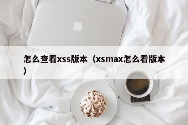 怎么查看xss版本（xsmax怎么看版本）