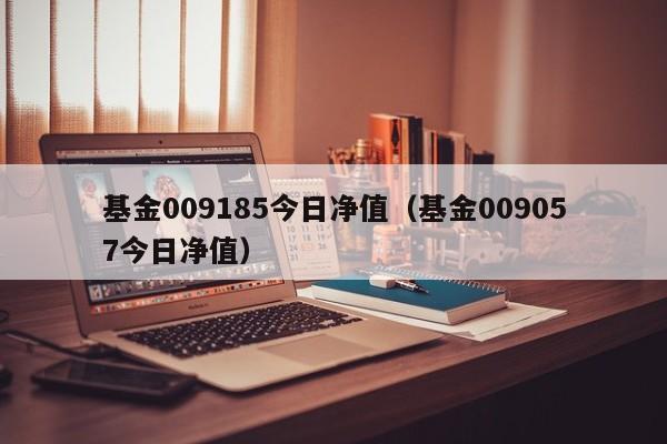 基金009185今日净值（基金009057今日净值）