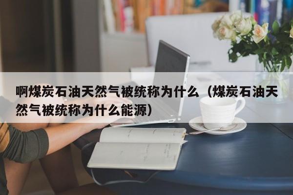 啊煤炭石油天然气被统称为什么（煤炭石油天然气被统称为什么能源）