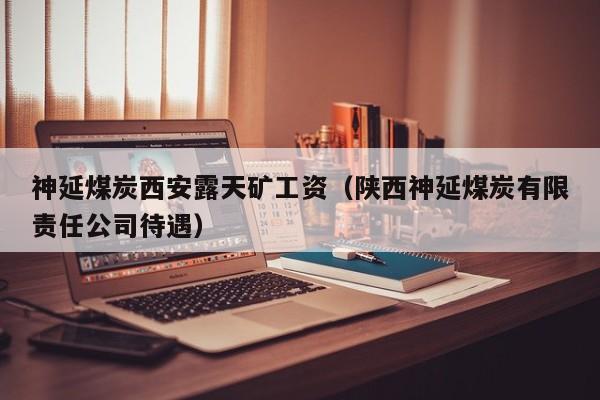 神延煤炭西安露天矿工资（陕西神延煤炭有限责任公司待遇）