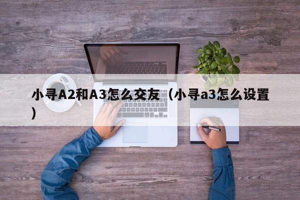 小寻A2和A3怎么交友（小寻a3怎么设置）