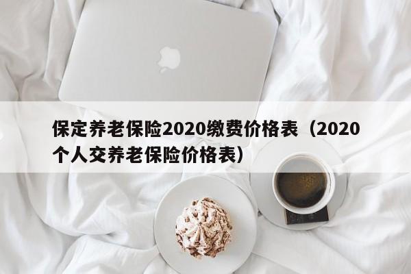 保定养老保险2020缴费价格表（2020个人交养老保险价格表）