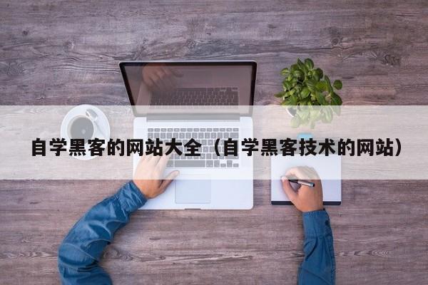 自学黑客的网站大全（自学黑客技术的网站）