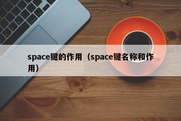 space键的作用（space键名称和作用）