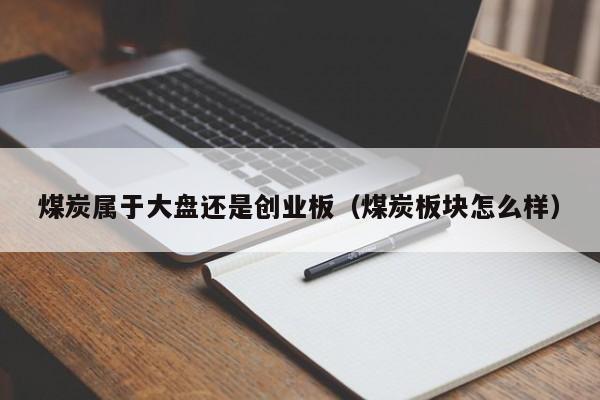 煤炭属于大盘还是创业板（煤炭板块怎么样）