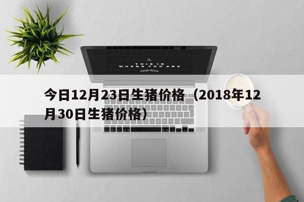 今日12月23日生猪价格（2018年12月30日生猪价格）