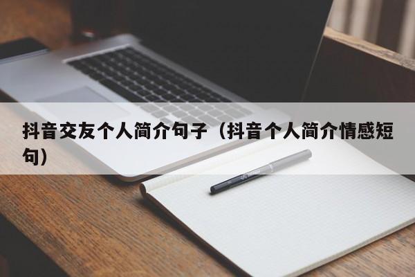 抖音交友个人简介句子（抖音个人简介情感短句）