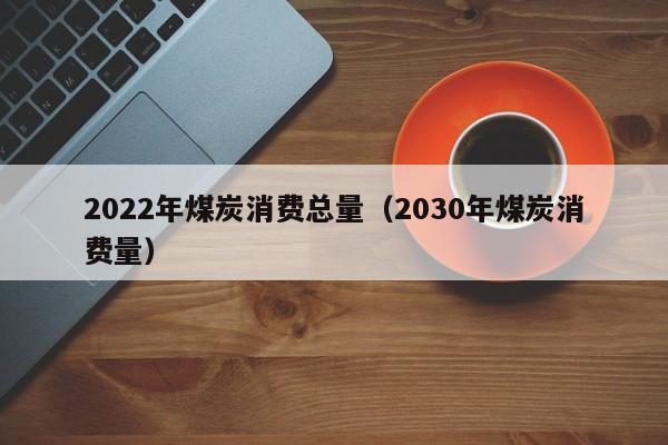 2022年煤炭消费总量（2030年煤炭消费量）