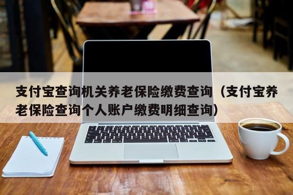 支付宝查询机关养老保险缴费查询（支付宝养老保险查询个人账户缴费明细查询）