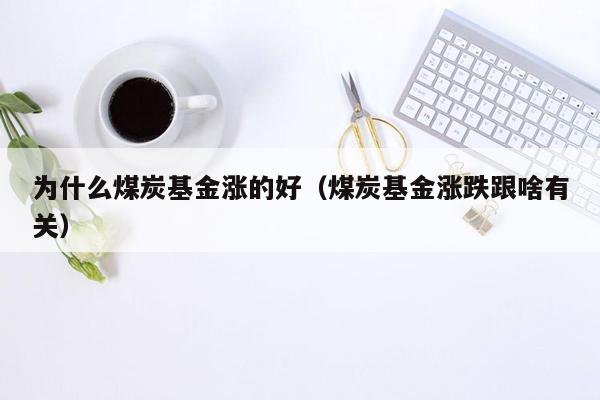 为什么煤炭基金涨的好（煤炭基金涨跌跟啥有关）