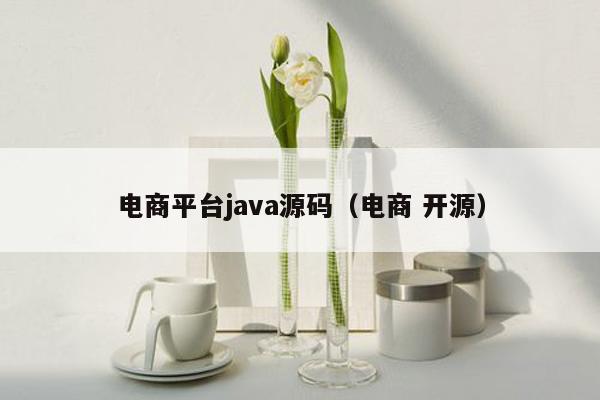 电商平台<strong>java</strong>源码（电商 开源）