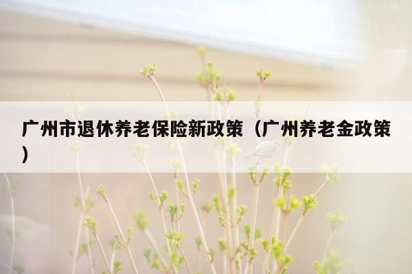 广州市退休养老保险新政策（广州养老金政策）