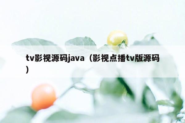 tv影视源码<strong>java</strong>（影视点播tv版源码）