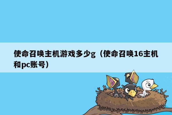 使命召唤主机游戏多少g（使命召唤16主机和pc账号）