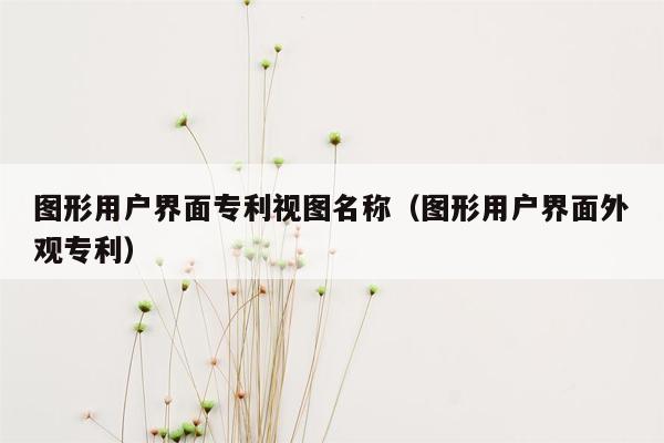 图形用户界面专利视图名称（图形用户界面外观专利）