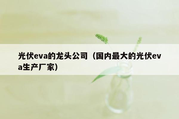 光伏eva的龙头公司（国内最大的光伏eva生产厂家）