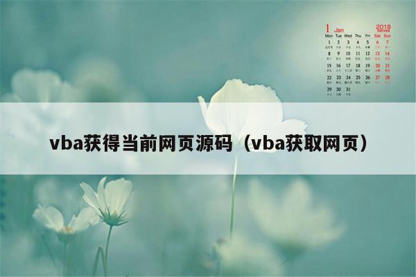 vba获得当前网页源码（vba获取网页）