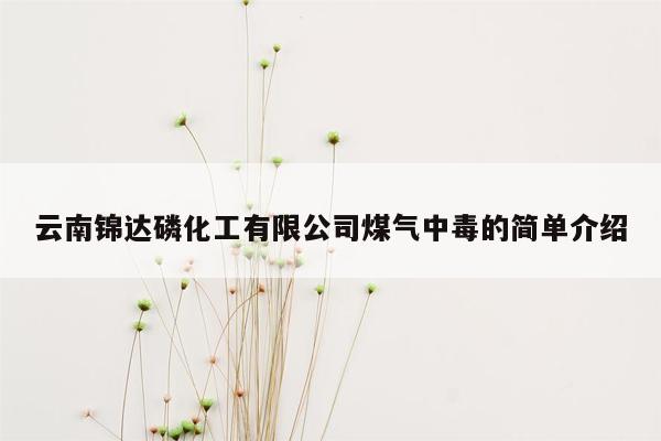 云南锦达磷化工有限公司煤气中毒的简单介绍