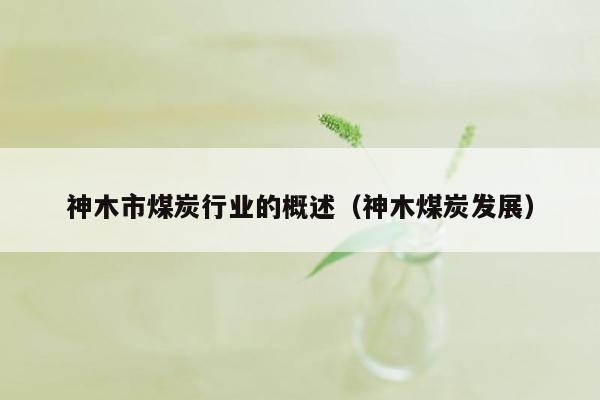 神木市煤炭行业的概述（神木煤炭发展）