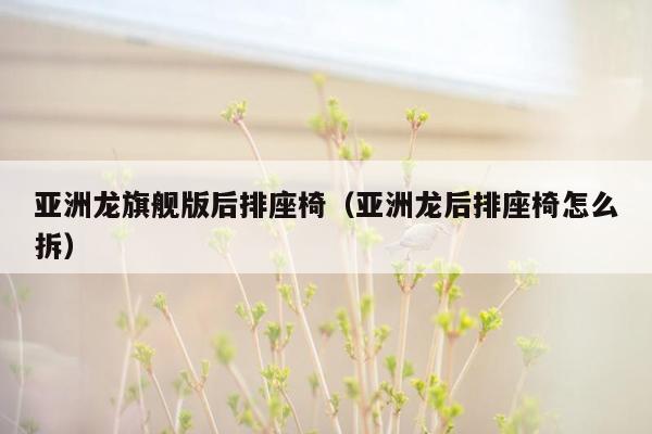 亚洲龙旗舰版后排座椅（亚洲龙后排座椅怎么拆）