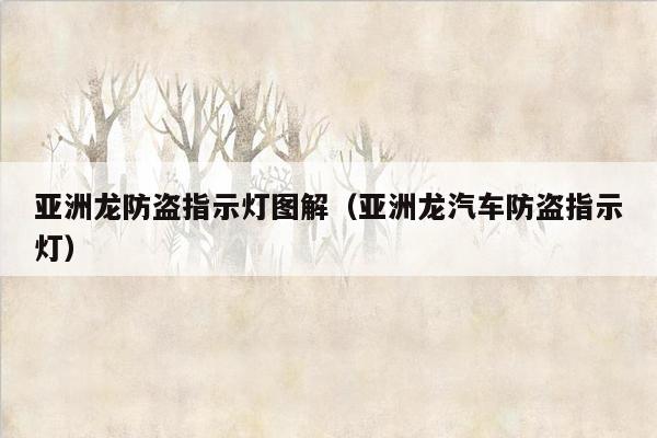 亚洲龙防盗指示灯图解（亚洲龙汽车防盗指示灯）