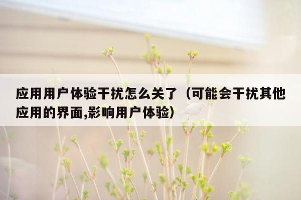 应用用户体验干扰怎么关了（可能会干扰其他应用的界面,影响用户体验）