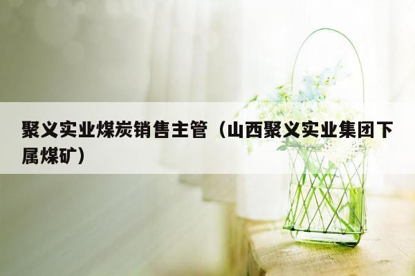 聚义实业煤炭销售主管（山西聚义实业集团下属煤矿）