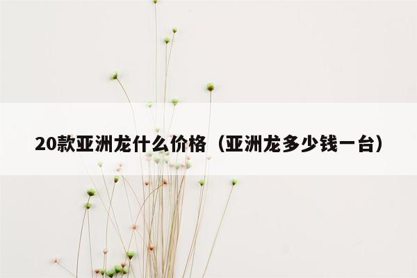 20款亚洲龙什么价格（亚洲龙多少钱一台）