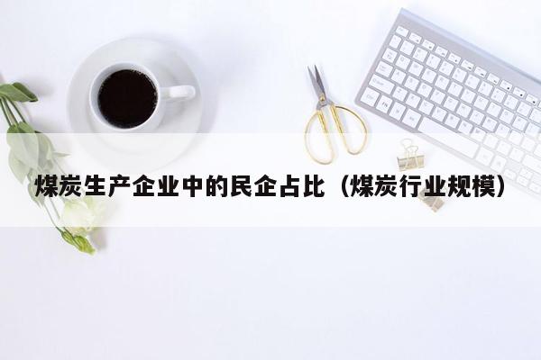 煤炭生产企业中的民企占比（煤炭行业规模）