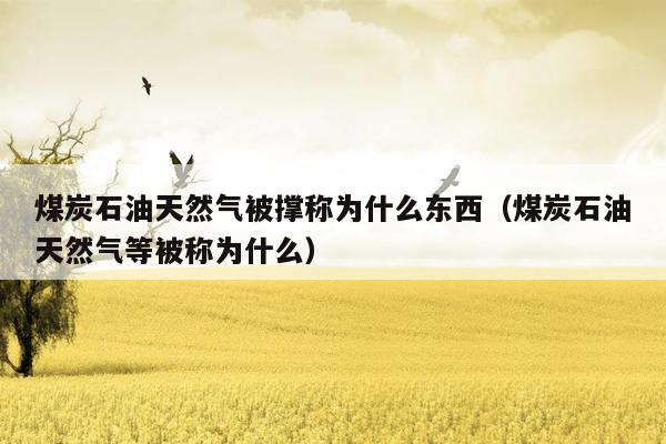 煤炭石油天然气被撑称为什么东西（煤炭石油天然气等被称为什么）