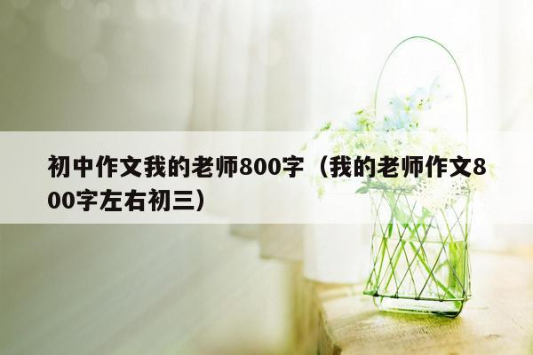 初中作文我的老师800字（我的老师作文800字左右初三）